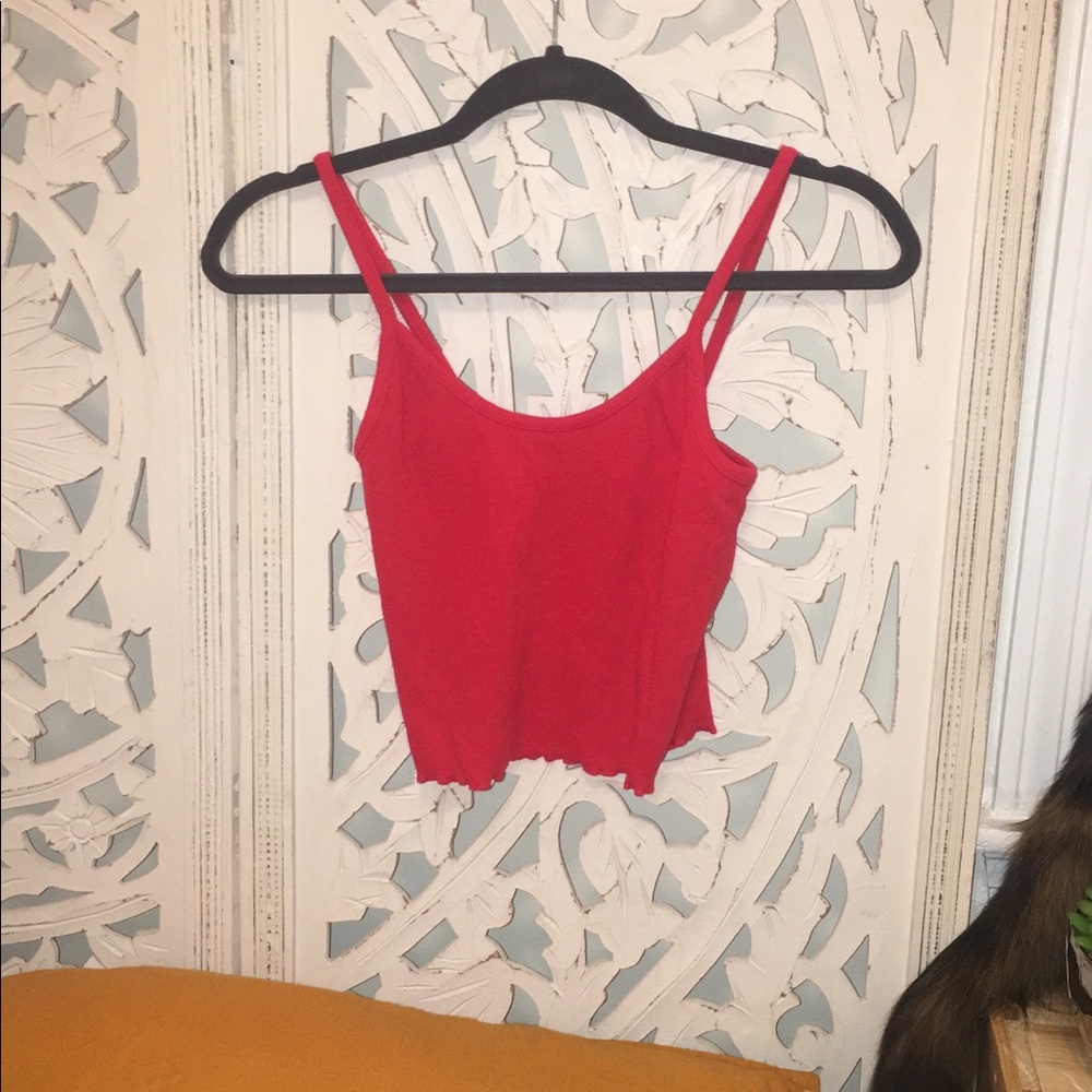 Pacsun crop top
